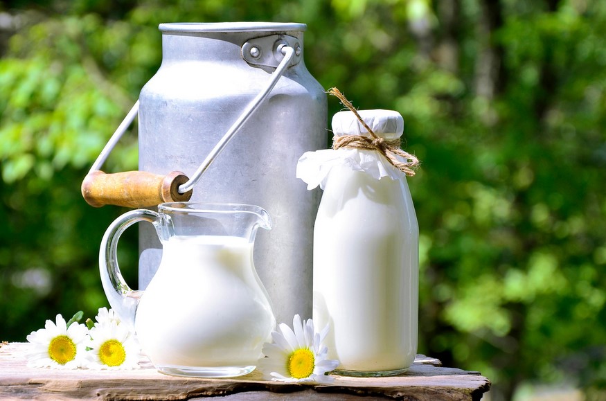 Produits Laitiers et Lactose : le vrai guide santé