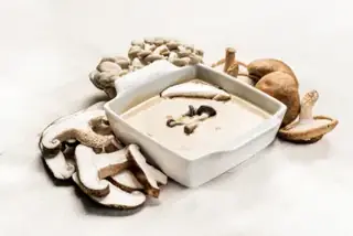 Sauce aux champignons