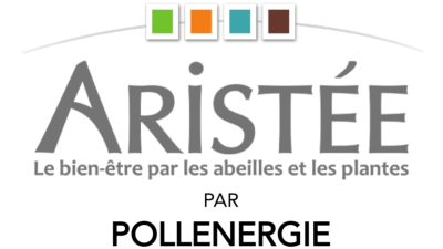 Aristée
